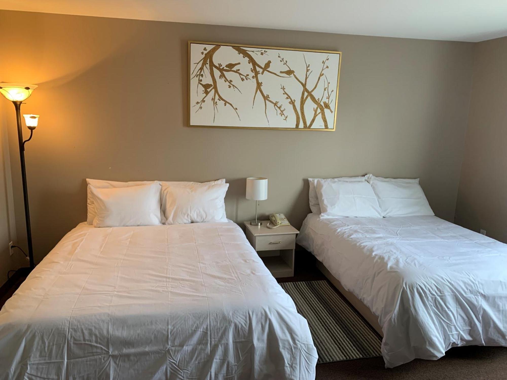 Hotel Saint-Come المظهر الخارجي الصورة