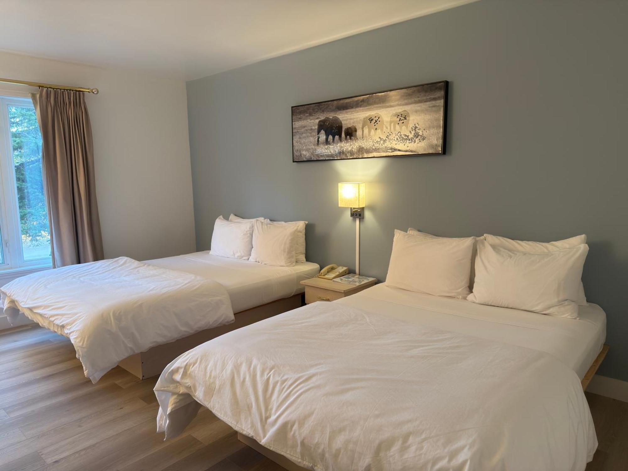 Hotel Saint-Come المظهر الخارجي الصورة